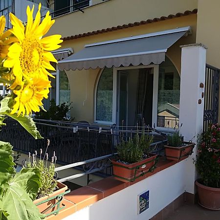 Il Covo Delle Civette Bed and Breakfast Vietri Exteriör bild