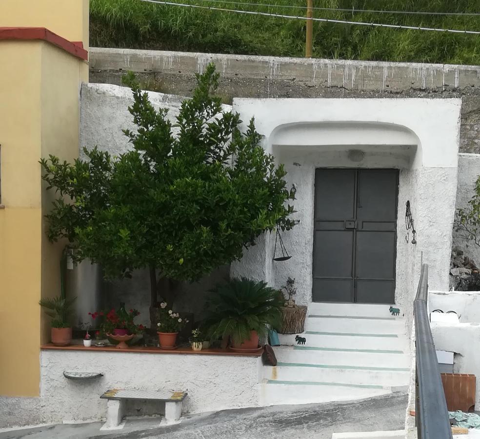 Il Covo Delle Civette Bed and Breakfast Vietri Exteriör bild