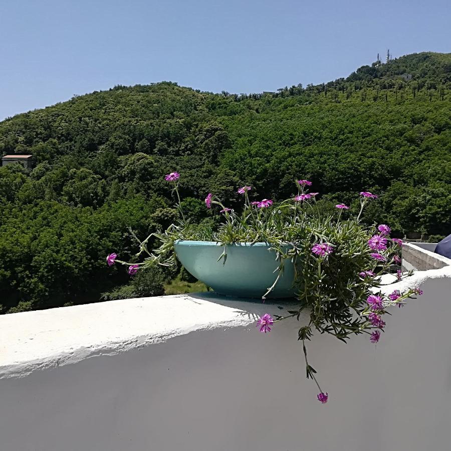 Il Covo Delle Civette Bed and Breakfast Vietri Exteriör bild
