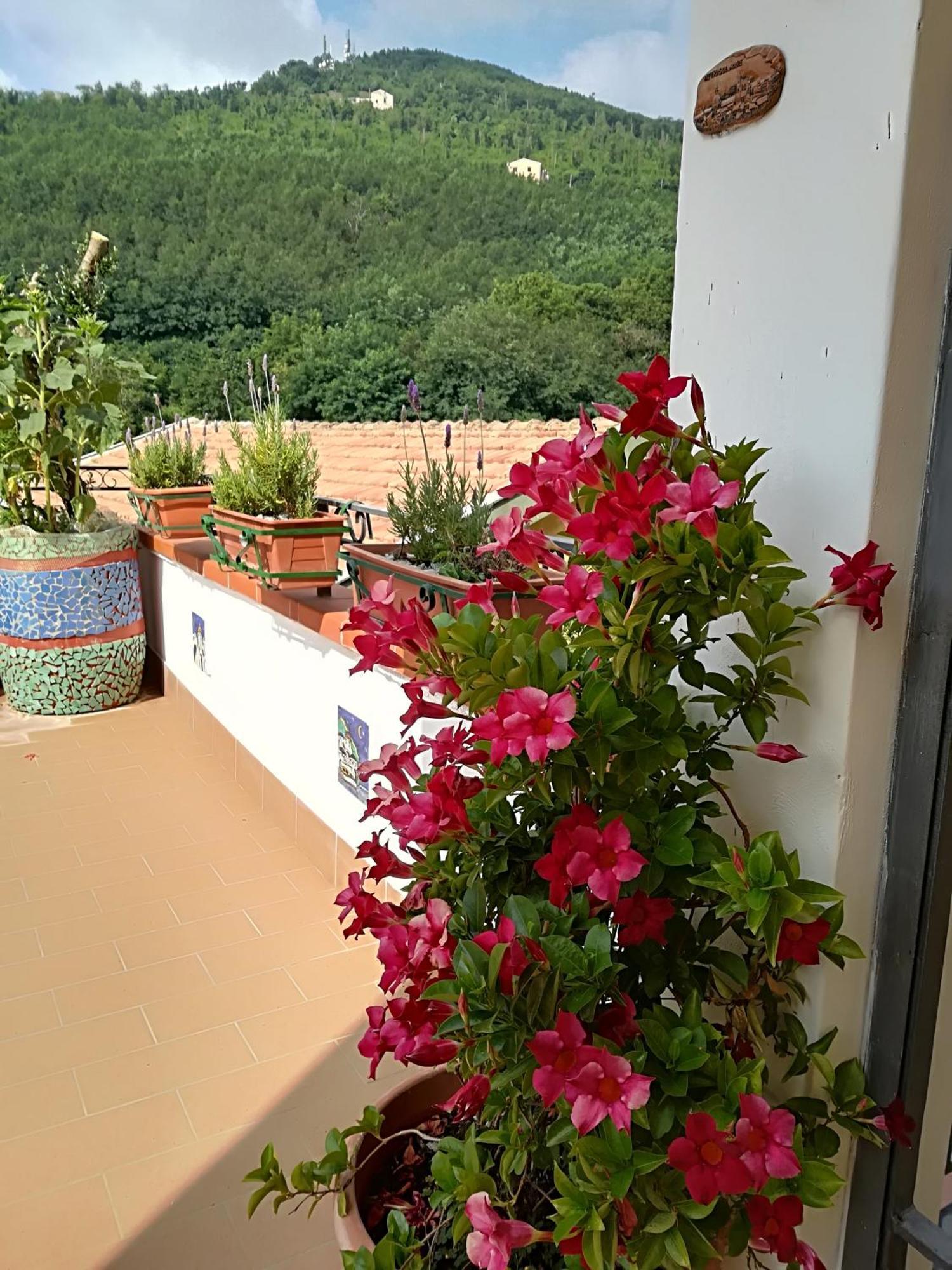 Il Covo Delle Civette Bed and Breakfast Vietri Exteriör bild