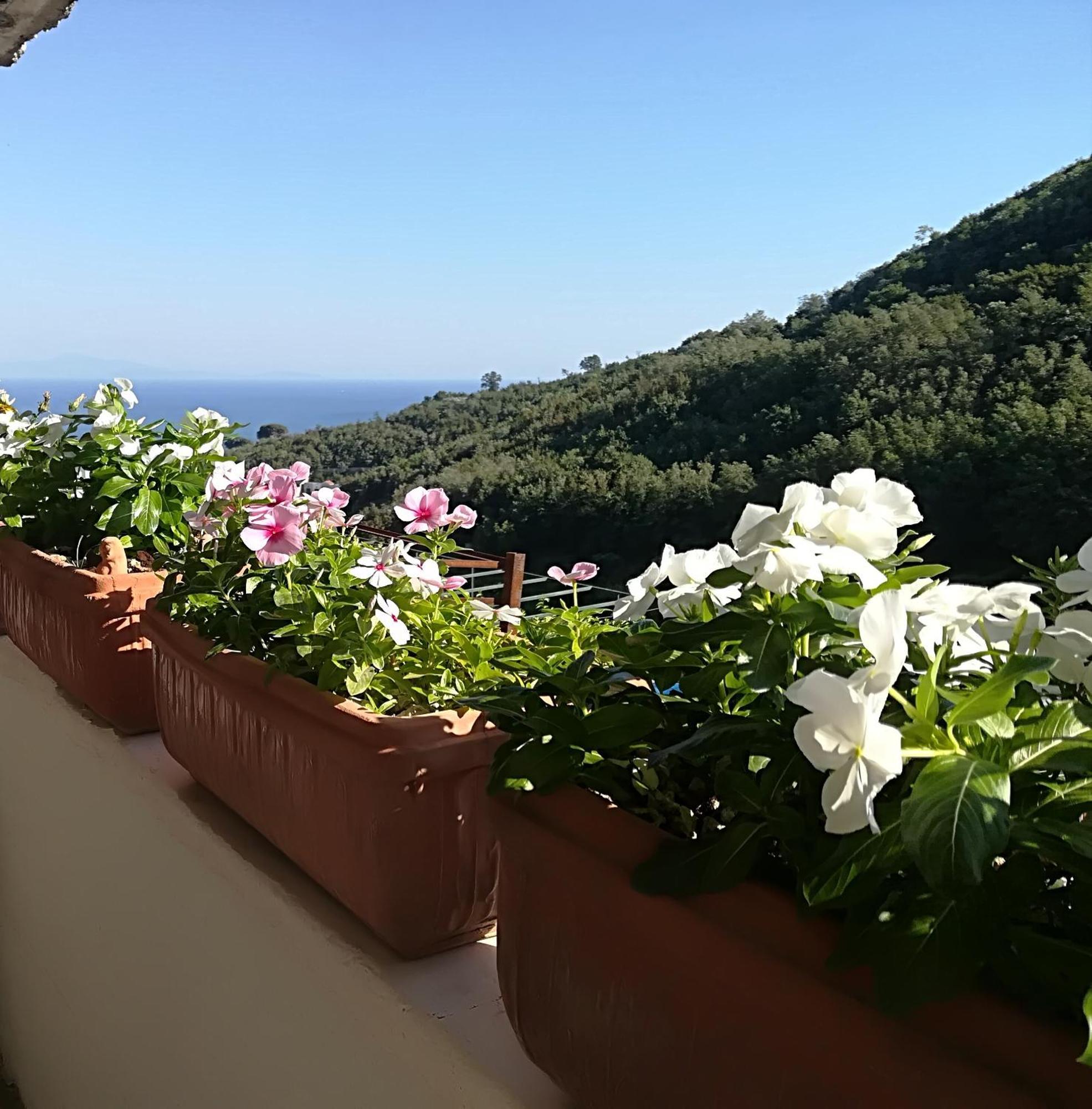 Il Covo Delle Civette Bed and Breakfast Vietri Exteriör bild