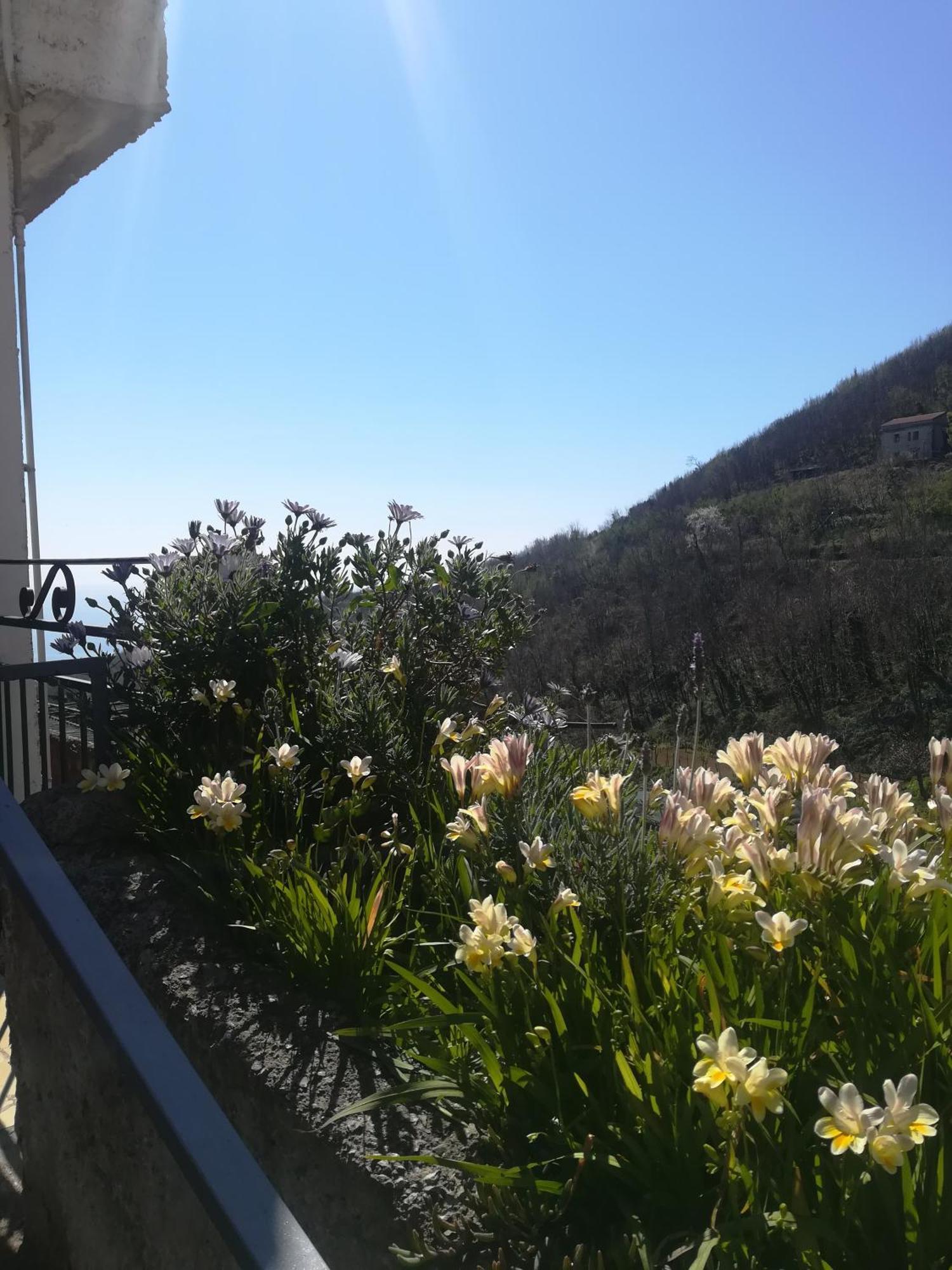 Il Covo Delle Civette Bed and Breakfast Vietri Exteriör bild